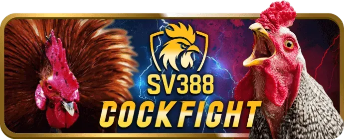 Thu thập dữ liệu an toàn tại shbet68 link vào